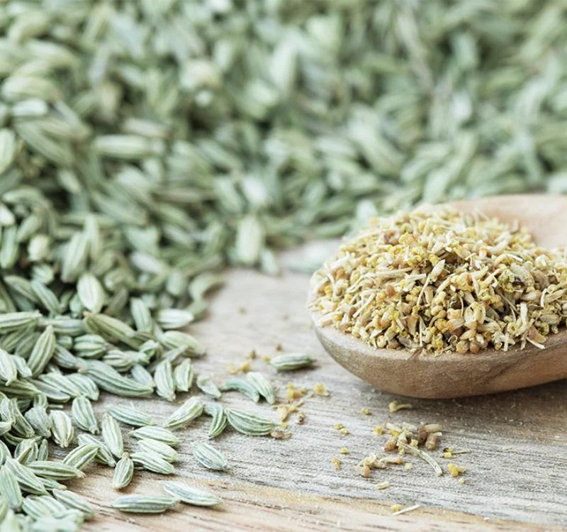 Promote Breast Growth Naturally with Fennel Seeds