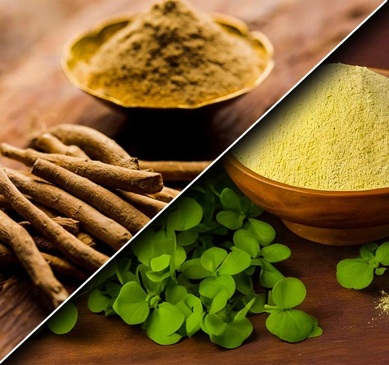 Ashwagandha and Brahmi: How to Use Them Together?