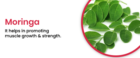 Moringa